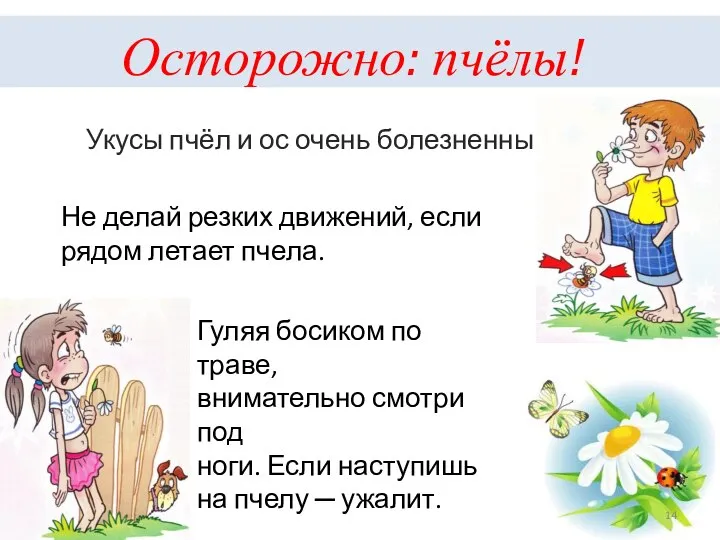 Осторожно: пчёлы! Укусы пчёл и ос очень болезненны. Не делай резких