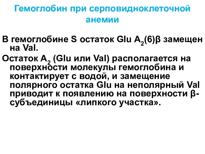 Гемоглобин при серповидноклеточной анемии В гемоглобине S остаток Glu A2(6)β замещен