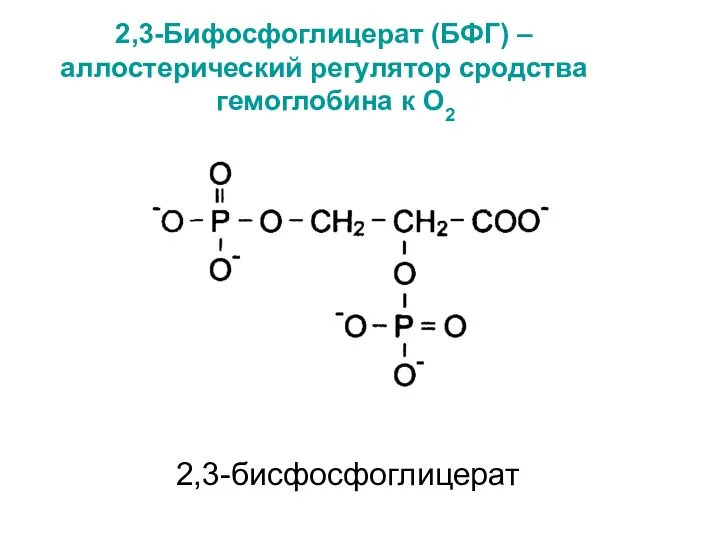 2,3-Бифосфоглицерат (БФГ) – аллостерический регулятор сродства гемоглобина к О2 2,3-бисфосфоглицерат