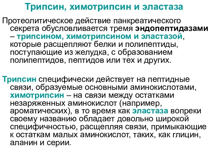 Трипсин, химотрипсин и эластаза Протеолитическое действие панкреатического секрета обусловливается тремя эндопептидазами