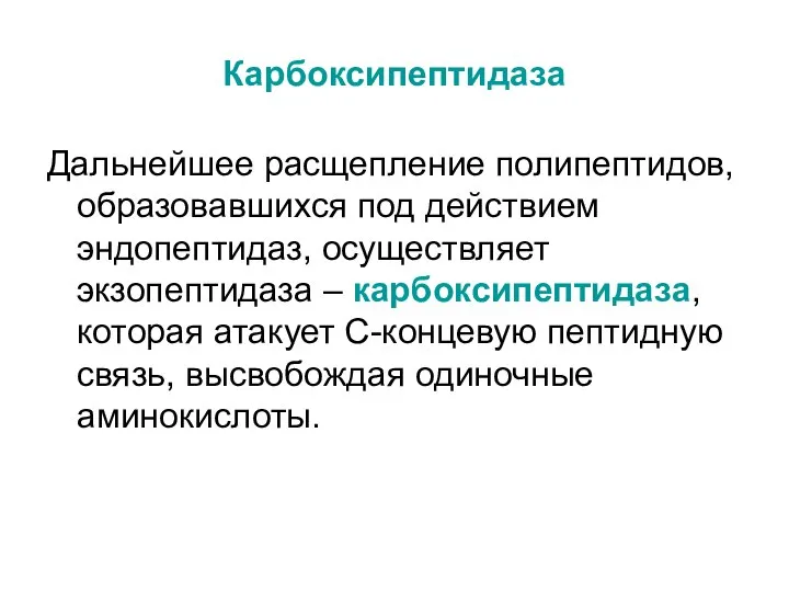 Карбоксипептидаза Дальнейшее расщепление полипептидов, образовавшихся под действием эндопептидаз, осуществляет экзопептидаза –