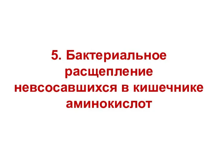 5. Бактериальное расщепление невсосавшихся в кишечнике аминокислот