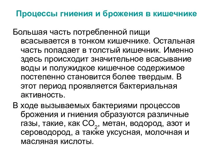 Процессы гниения и брожения в кишечнике Большая часть потребленной пищи всасывается