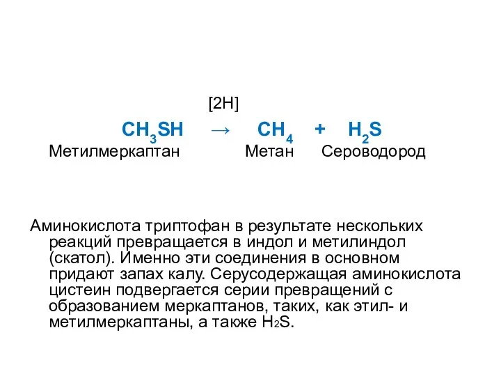 [2H] CH3SH → CH4 + H2S Метилмеркаптан Метан Сероводород Аминокислота триптофан