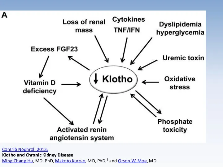 Contrib Nephrol. 2013; Klotho and Chronic Kidney Disease Ming Chang Hu,