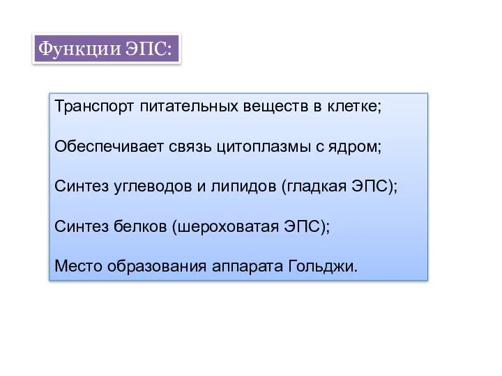 Функции ЭПС: Транспорт питательных веществ в клетке; Обеспечивает связь цитоплазмы с