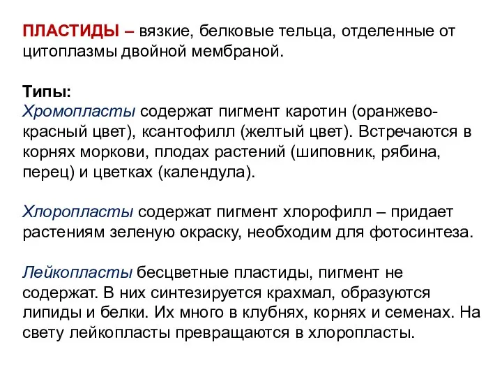 ПЛАСТИДЫ – вязкие, белковые тельца, отделенные от цитоплазмы двойной мембраной. Типы: