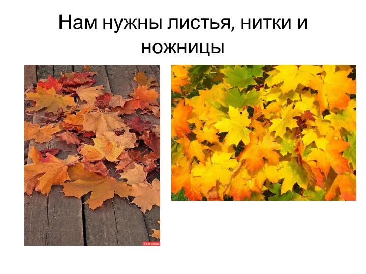 Нам нужны листья, нитки и ножницы