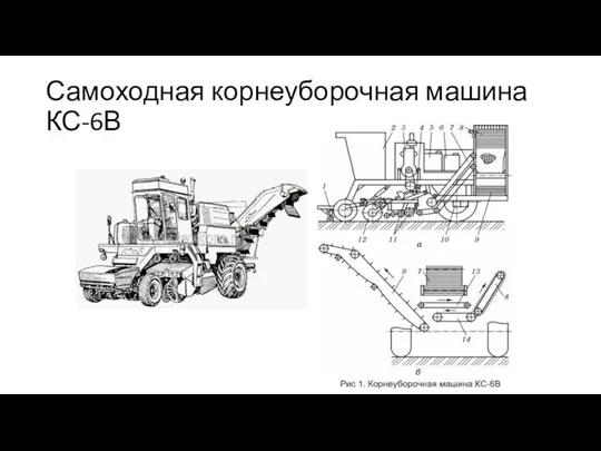 Самоходная корнеуборочная машина КС-6В