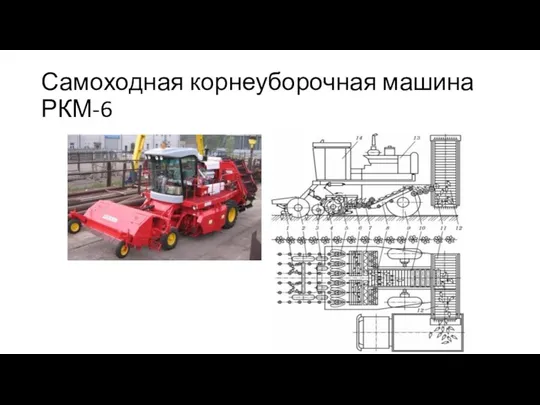 Самоходная корнеуборочная машина РКМ-6