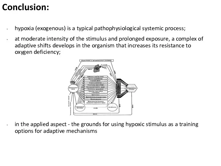 Conclusion: hypoxia (exogenous) is a typical pathophysiological systemic process; at moderate