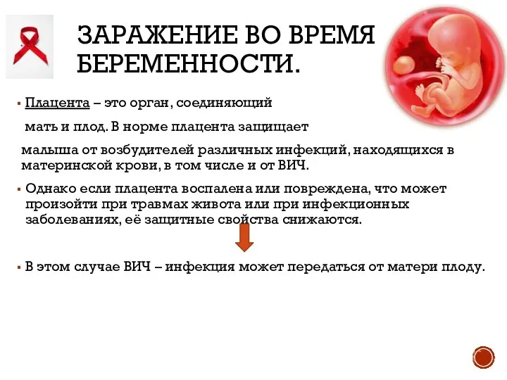 ЗАРАЖЕНИЕ ВО ВРЕМЯ БЕРЕМЕННОСТИ. Плацента – это орган, соединяющий мать и