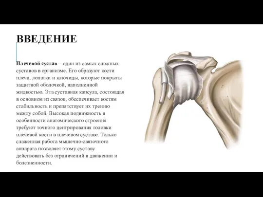 ВВЕДЕНИЕ Плечевой сустав – один из самых сложных суставов в организме.