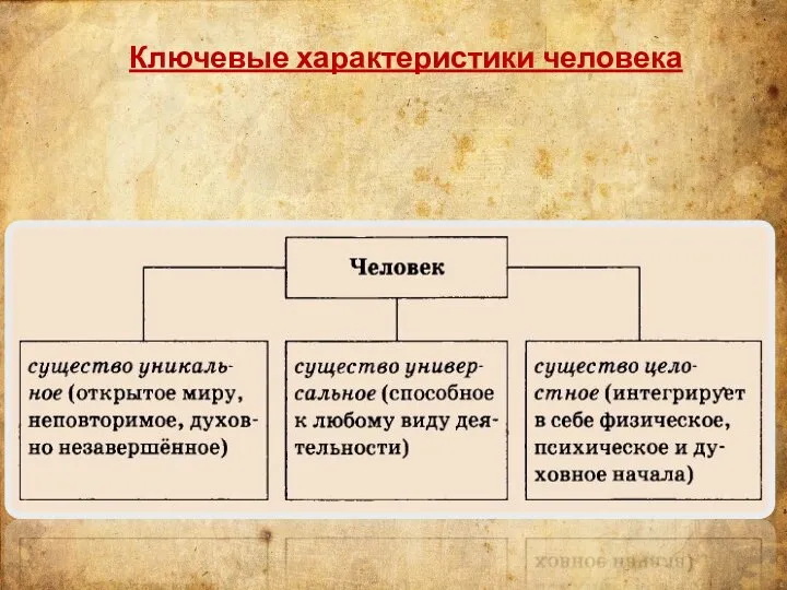 Ключевые характеристики человека