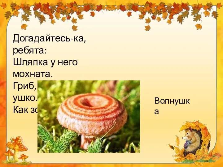 Догадайтесь-ка, ребята: Шляпка у него мохната. Гриб, как розовое ушко. Как зовут его? Волнушка