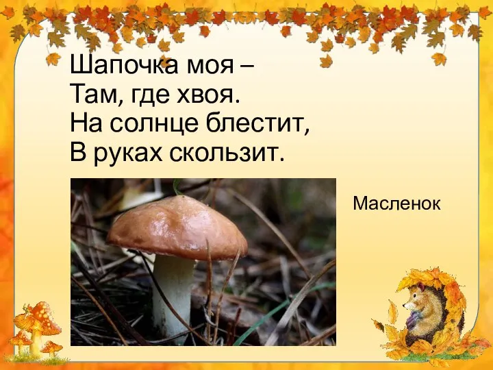 Шапочка моя – Там, где хвоя. На солнце блестит, В руках скользит. Масленок