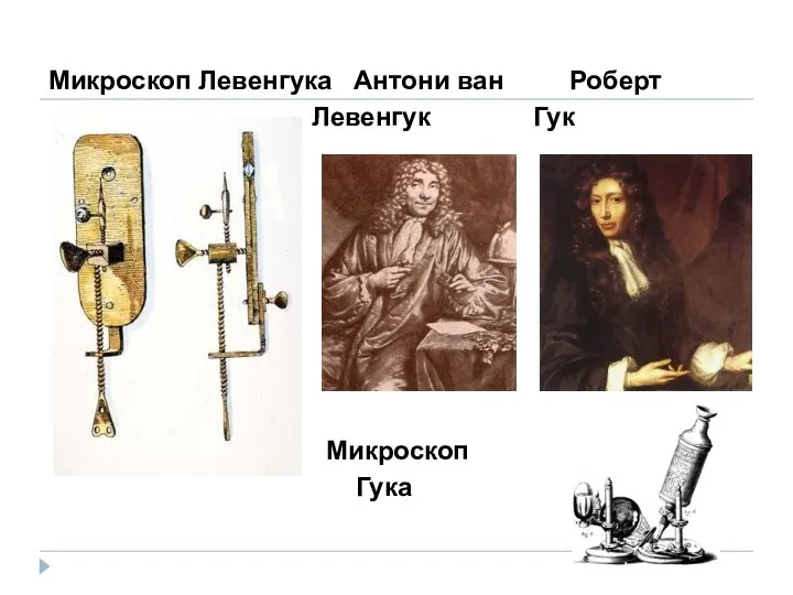 Микроскоп Левенгука Антони ван Роберт Левенгук Гук Микроскоп Гука