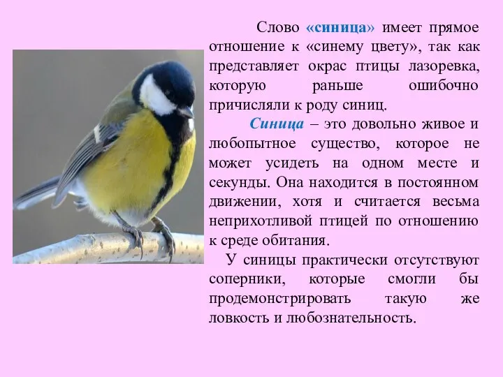 Слово «синица» имеет прямое отношение к «синему цвету», так как представляет