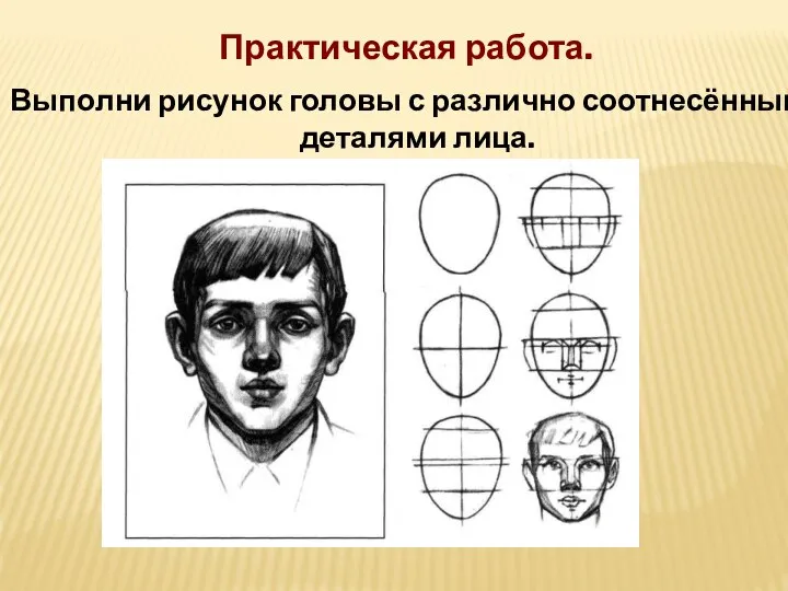 Практическая работа. Выполни рисунок головы с различно соотнесёнными деталями лица.