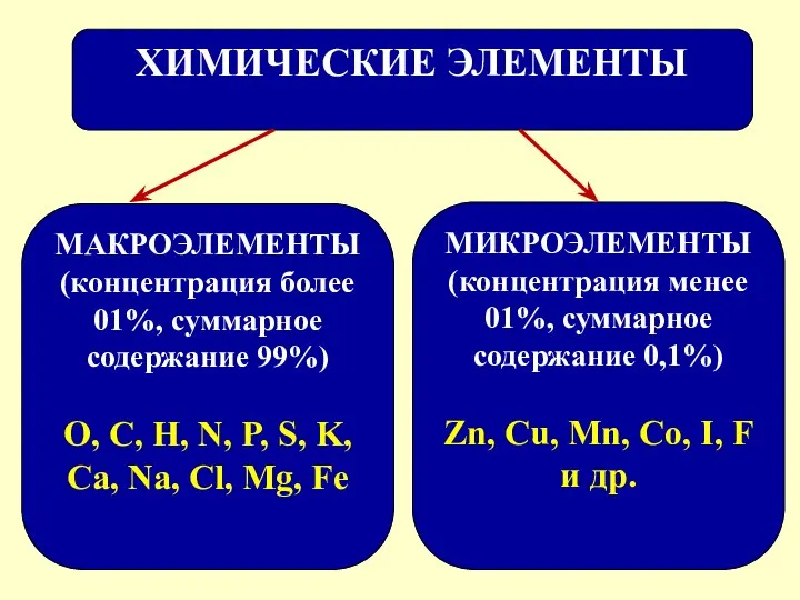 ХИМИЧЕСКИЕ ЭЛЕМЕНТЫ МАКРОЭЛЕМЕНТЫ (концентрация более 01%, суммарное содержание 99%) O, C,