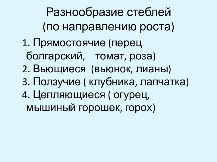 Разнообразие стеблей (по направлению роста) 1. Прямостоячие (перец болгарский, томат, роза)