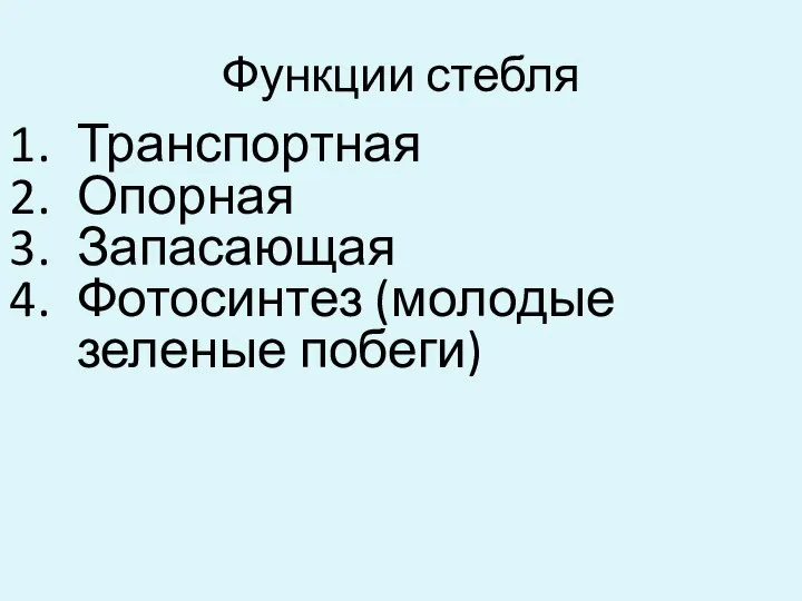 Функции стебля Транспортная Опорная Запасающая Фотосинтез (молодые зеленые побеги)