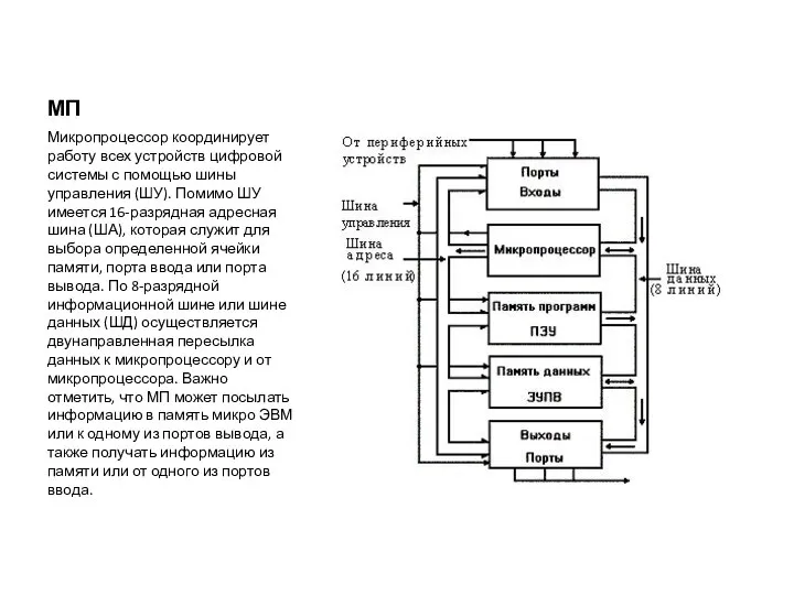 МП Микропроцессор координирует работу всех устройств цифровой системы с помощью шины