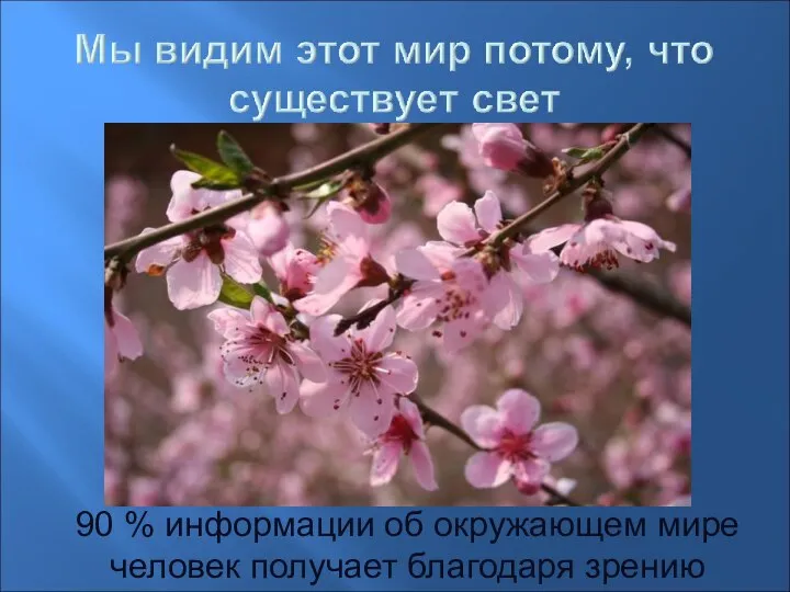 90 % информации об окружающем мире человек получает благодаря зрению