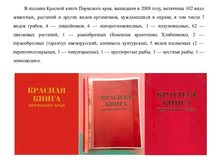 В издание Красной книги Пермского края, вышедшее в 2008 году, включены