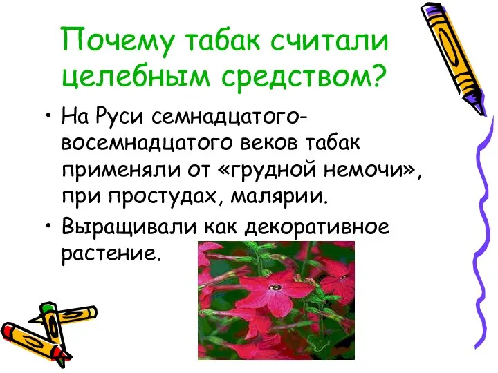 Почему табак считали целебным средством? На Руси семнадцатого-восемнадцатого веков табак применяли