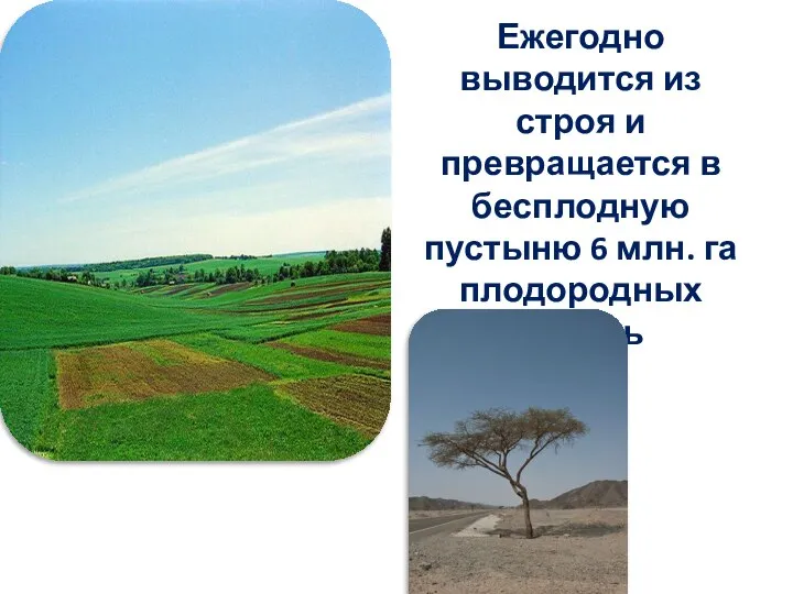 Ежегодно выводится из строя и превращается в бесплодную пустыню 6 млн. га плодородных земель