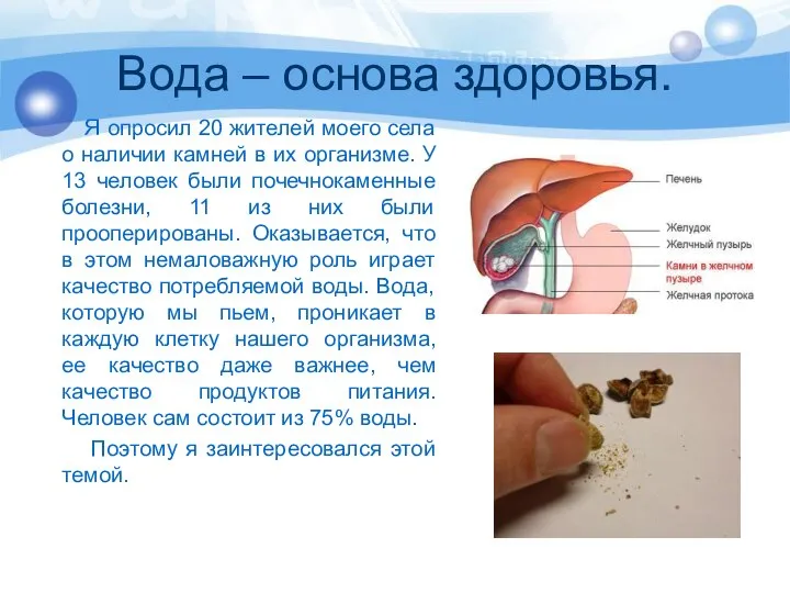 Вода – основа здоровья. Я опросил 20 жителей моего села о