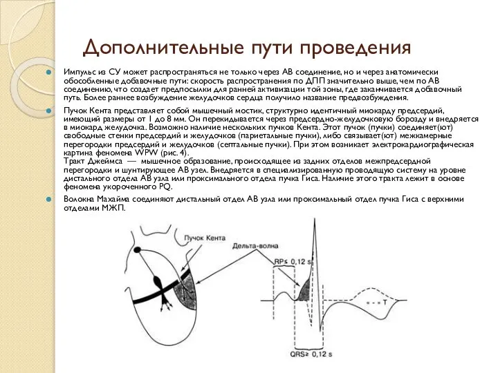 Дополнительные пути проведения Импульс из СУ может распространяться не только через