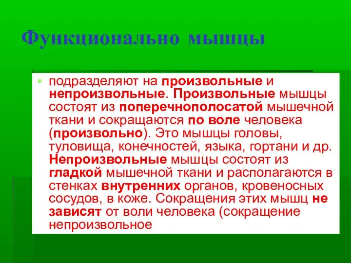 Функционально мышцы подразделяют на произвольные и непроизвольные. Произвольные мышцы состоят из