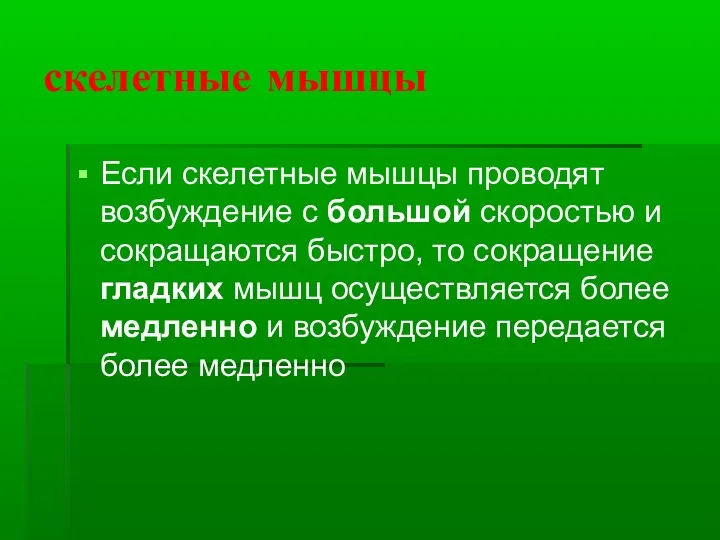 скелетные мышцы Если скелетные мышцы проводят возбуждение с большой скоростью и