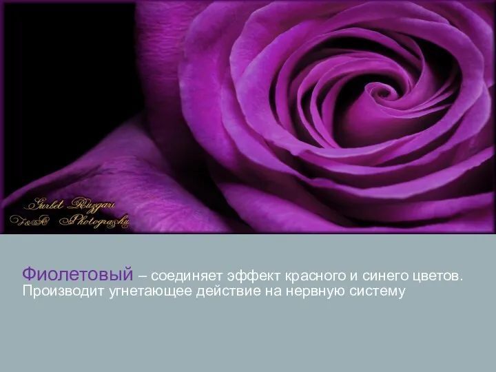 Фиолетовый – соединяет эффект красного и синего цветов. Производит угнетающее действие на нервную систему