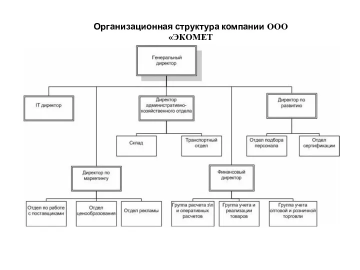 Организационная структура компании ООО «ЭКОМЕТ