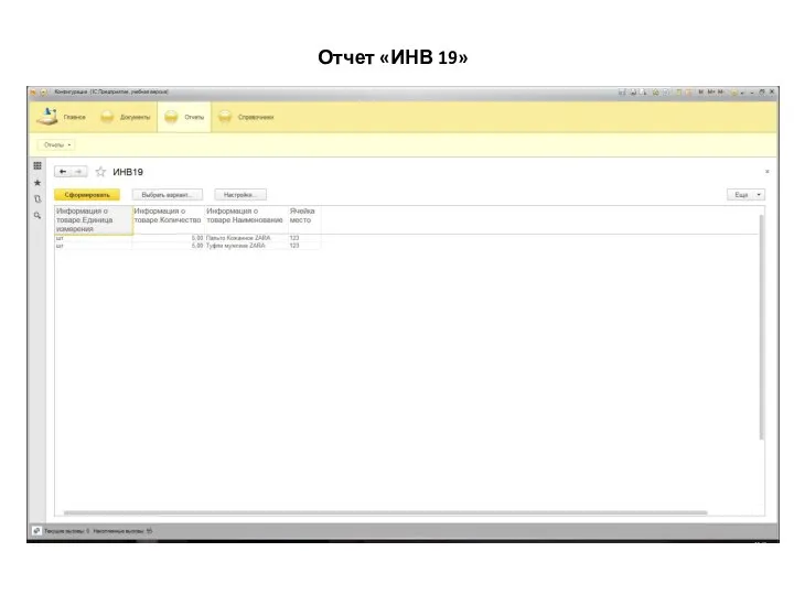 Отчет «ИНВ 19»