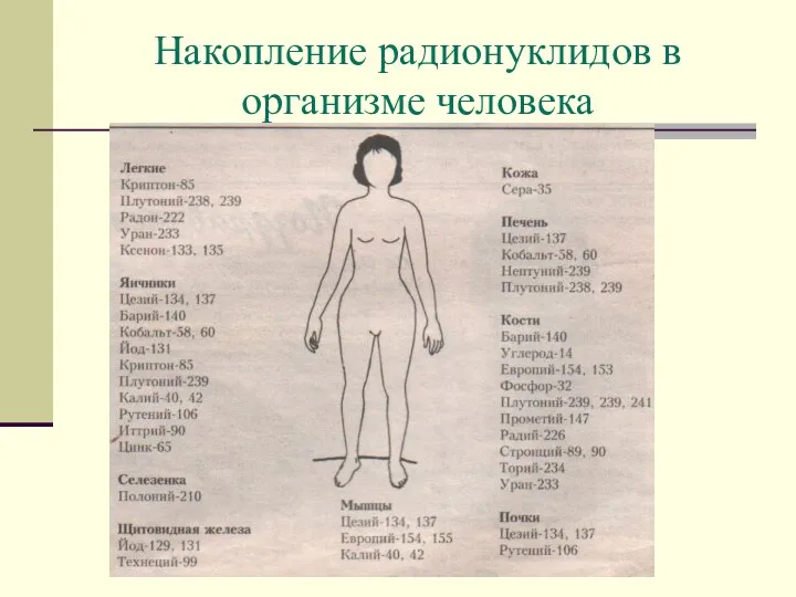 Накопление радионуклидов в организме человека