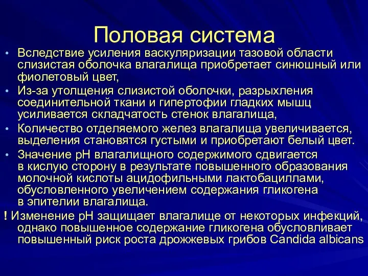 Половая система Вследствие усиления васкуляризации тазовой области слизистая оболочка влагалища приобретает