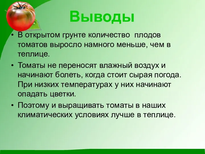 Выводы В открытом грунте количество плодов томатов выросло намного меньше, чем