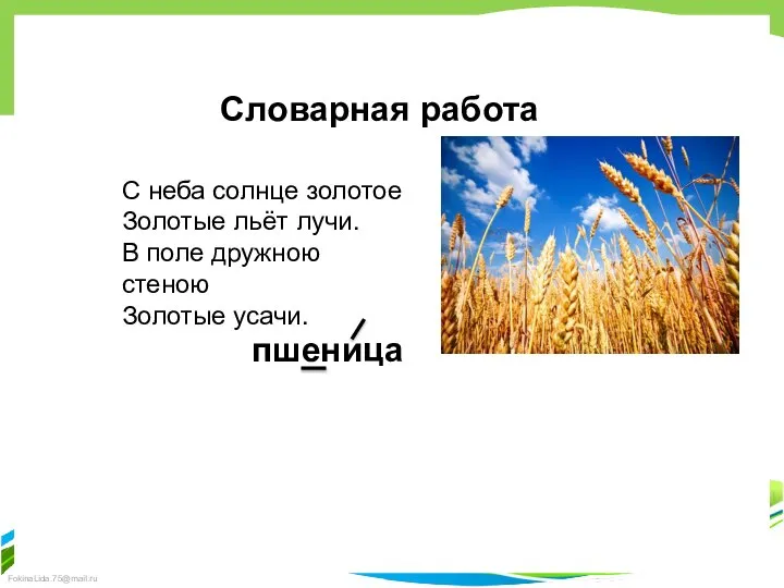 Словарная работа С неба солнце золотое Золотые льёт лучи. В поле дружною стеною Золотые усачи. пшеница