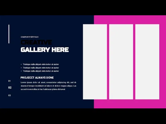 01 02 03 CREATIVE GALLERY HERE COMPANY PORTFOLIO Lorem ipsum dolor