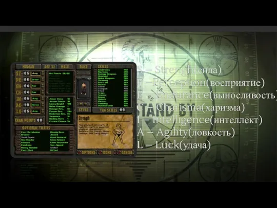 S – Strengh(сила) P –Perception(восприятие) E – Endurance(выносливость) С – Charisma(харизма)