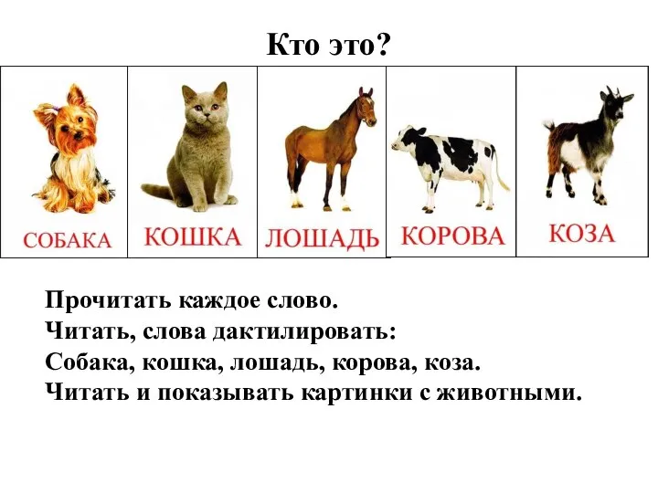 Кто это? Прочитать каждое слово. Читать, слова дактилировать: Собака, кошка, лошадь,