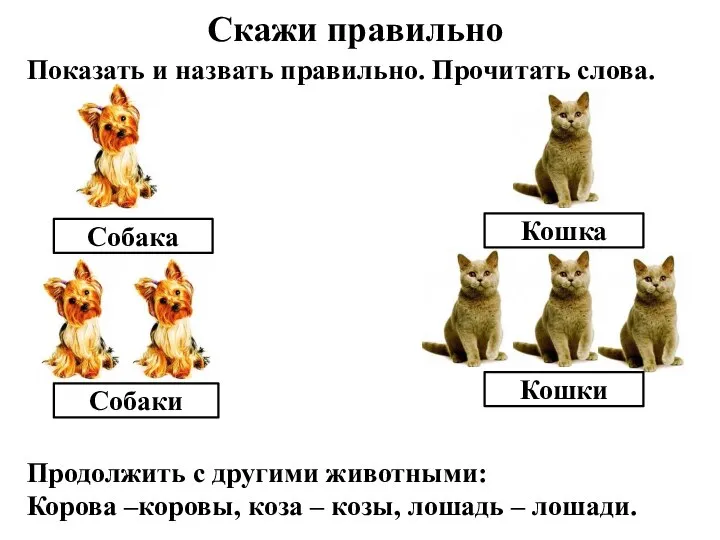 Скажи правильно Собака Собаки Кошка Кошки Показать и назвать правильно. Прочитать