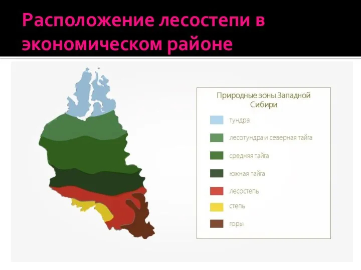 Расположение лесостепи в экономическом районе