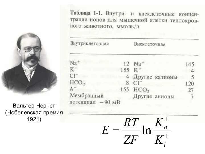 Вальтер Нернст (Нобелевская премия 1921)