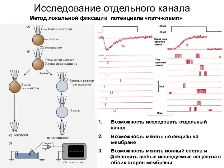 Исследование отдельного канала Возможность исследовать отдельный канал Возможность менять потенциал на