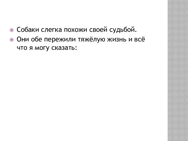 Собаки слегка похожи своей судьбой. Они обе пережили тяжёлую жизнь и всё что я могу сказать: